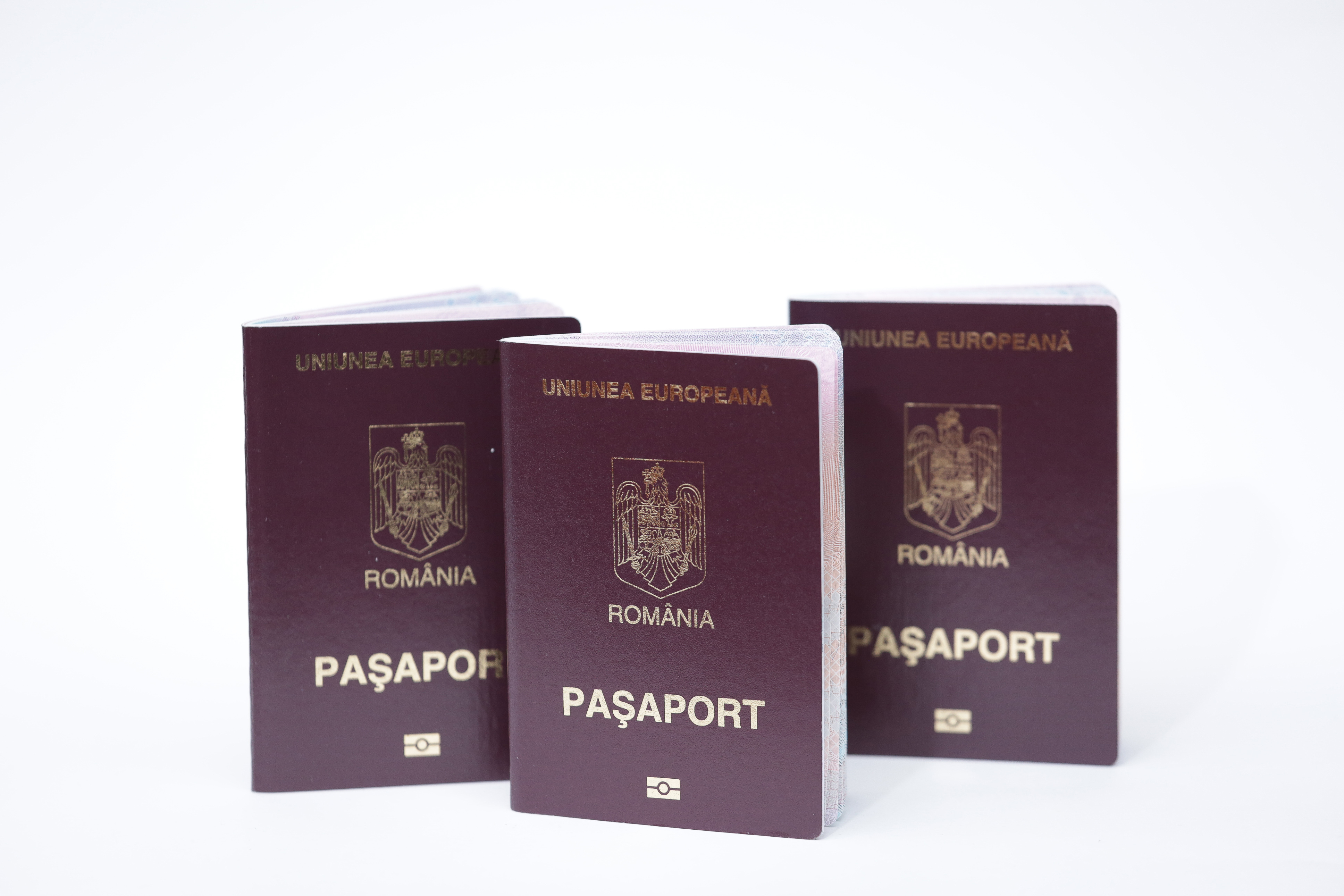 Румынские паспорта, которые могут получить иностранцы